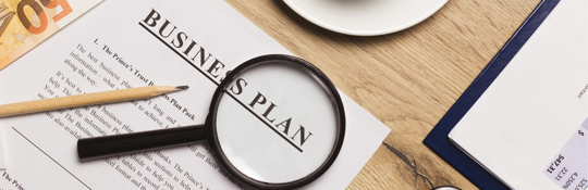 Getting a Visa? A Business Plan Isn’t Enough. You Need Strategy.